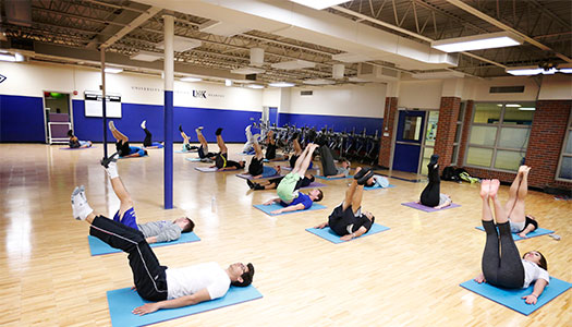 People doing yoga