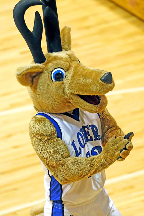 mascot antelope louie clapping