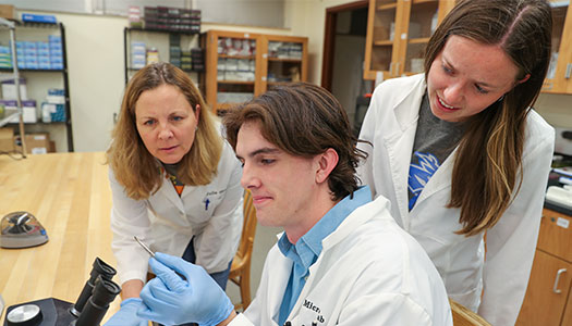 students working with faculty in a lab