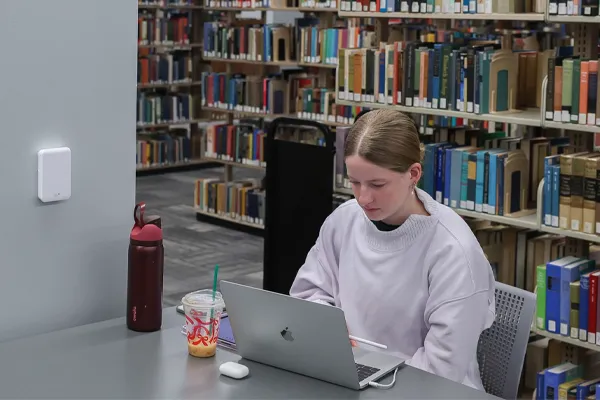 a student studies in the library