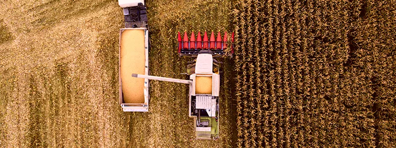 a harvester fills a truck bed with corn