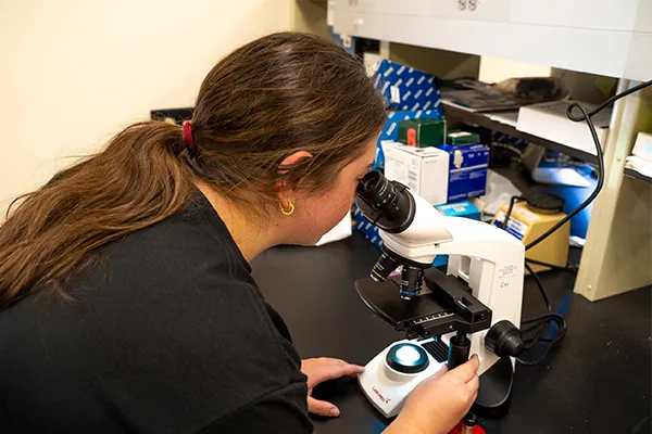 a student looks in a microscope