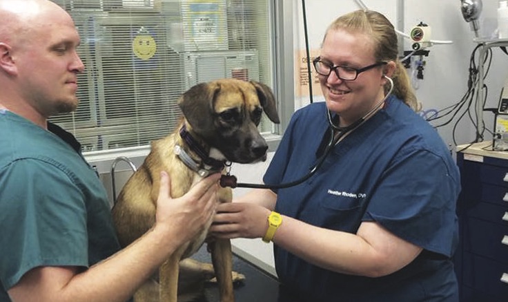 Pre-Veterinary Medicine Program | Biology | University of Nebraska at  Kearney