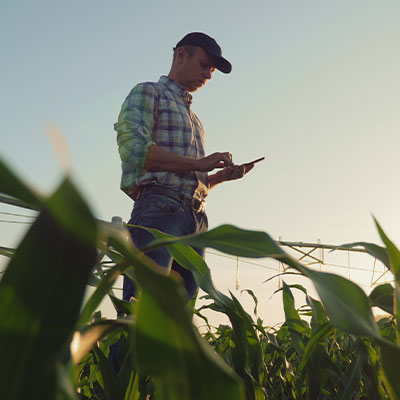 Image of a farmer 