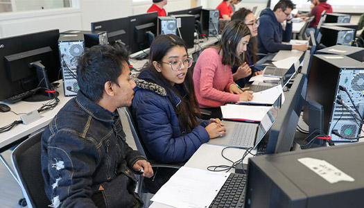 students in an IT class