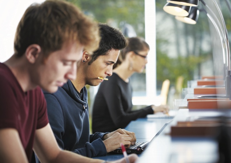 workers on computers