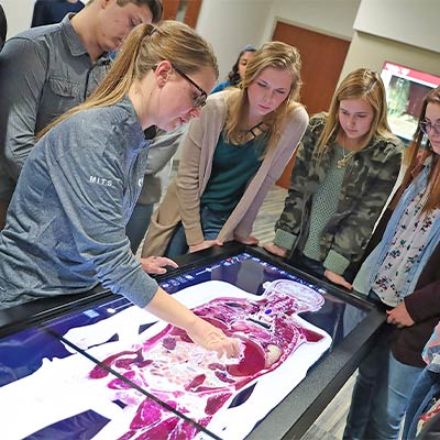 students gather around a video board showing anatomy