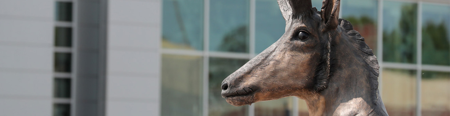 a photo of a bronze statue of a pronghorn on UNK's campus