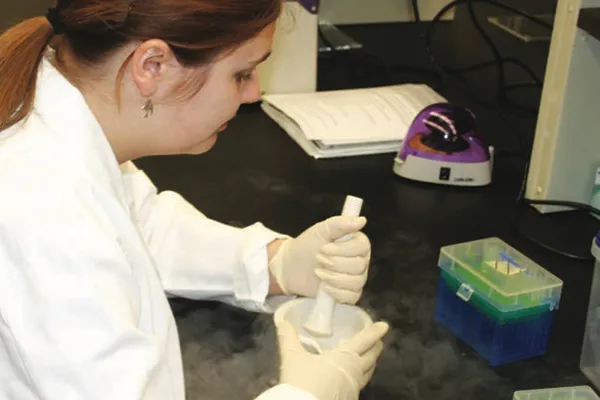 A student works with lab equipment