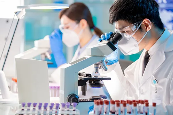 Medical laboratory scientists look into microscopes
