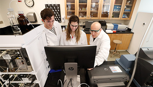 Students and faculty doing research