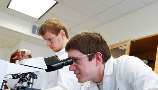 Students in class conducting an experiment