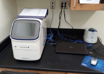 picture of the ABI QuantStudio 5 Real-time PCR System