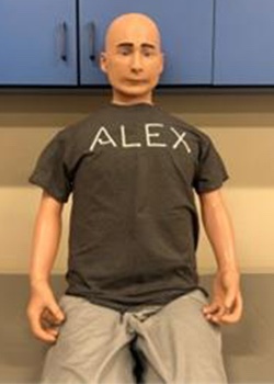 ALEX PLUS Patient Simulator