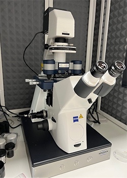 NanoSense Wizard AFM
