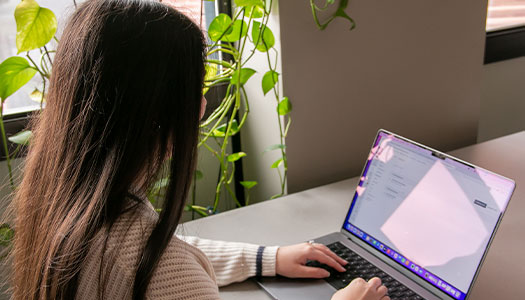 Image of a student working at a laptop