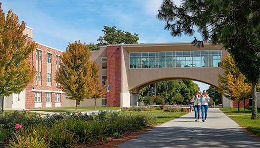 students walk across campus on a sunny day