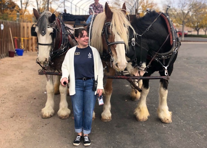 Woman standing in front of horses.