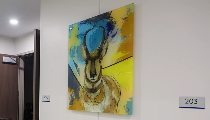 Born of the Wild Artwork