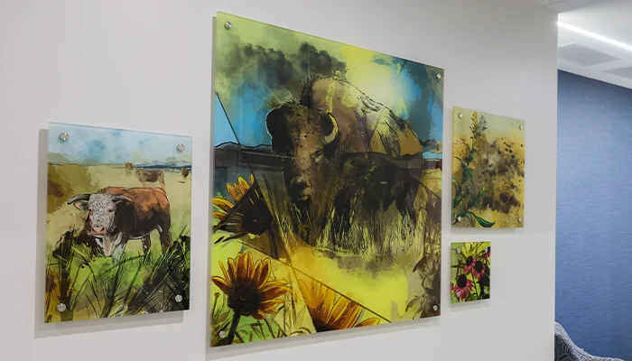 peaceful prairie Artwork