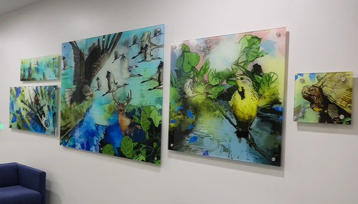 Rhythms of the River Artwork