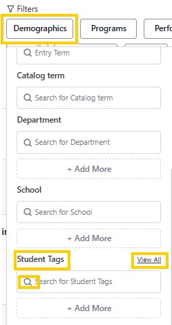 Student search filters, Demographics tab selected and the Student Tags section highlighted with a View All link.