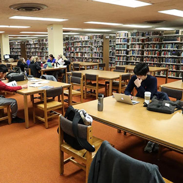 Students learning in Calvin T. Ryan Library